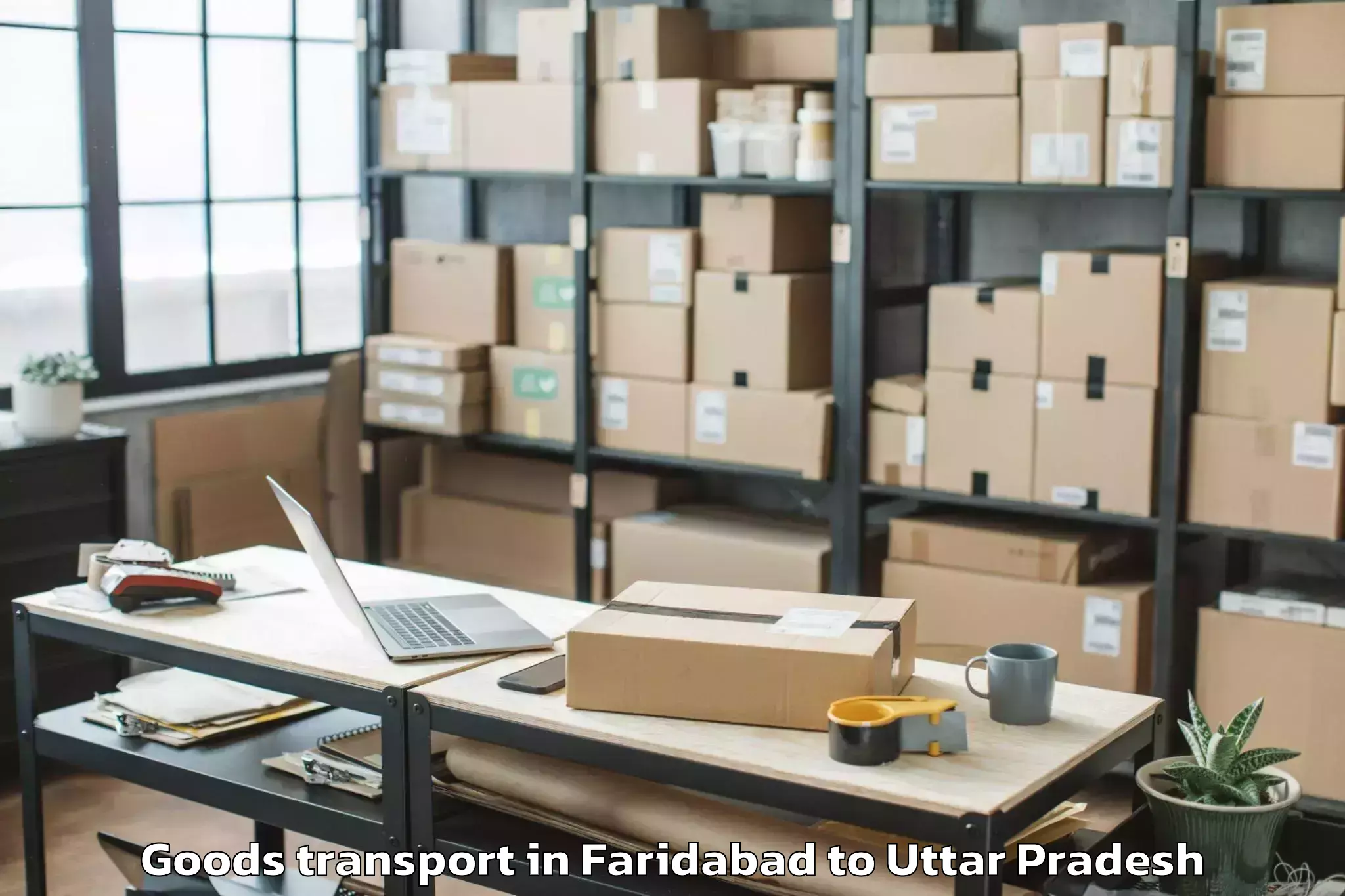 Comprehensive Faridabad to Sanskriti University Mathura Goods Transport